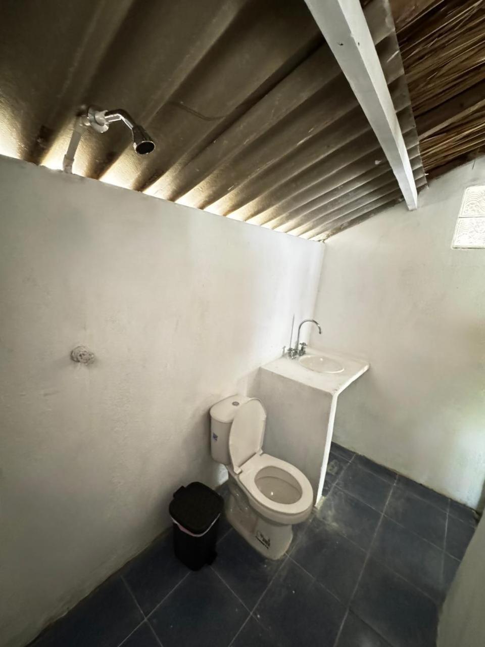Eco Hotel Bosque Encantado Isla Grande  Zewnętrze zdjęcie